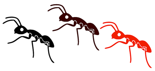 Ant svg #15, Download drawings