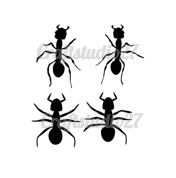 Ant svg #5, Download drawings