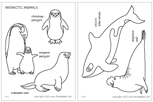 Antarctica coloring #15, Download drawings