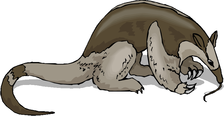 Anteater clipart #20, Download drawings