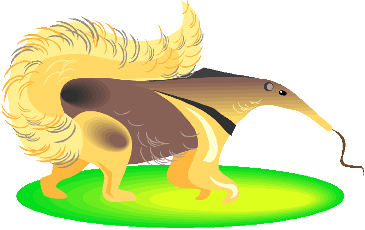 Anteater clipart #1, Download drawings