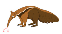 Anteater clipart #4, Download drawings