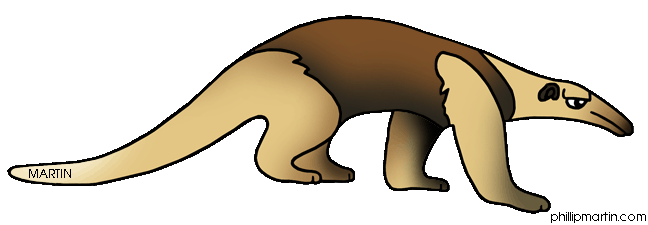 Anteater clipart #18, Download drawings