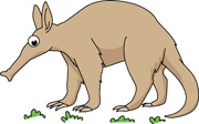 Anteater clipart #8, Download drawings