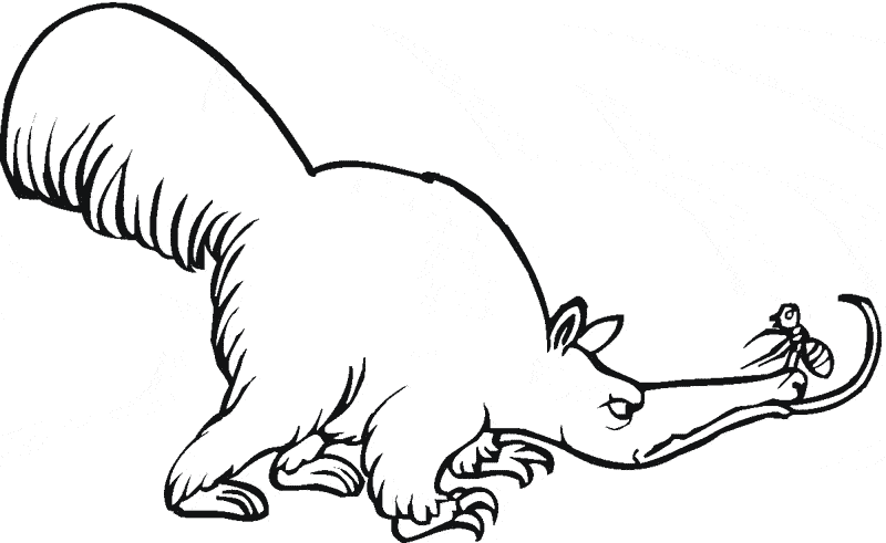 Anteater coloring #11, Download drawings