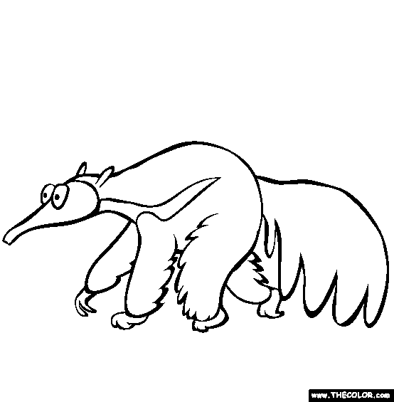 Anteater coloring #4, Download drawings