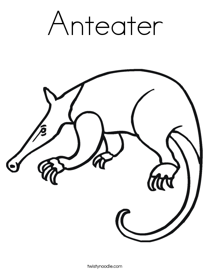 Anteater coloring #1, Download drawings