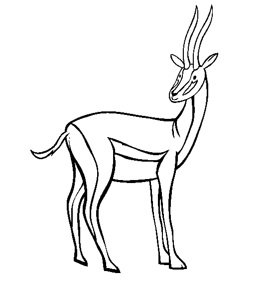 Antelope coloring #15, Download drawings