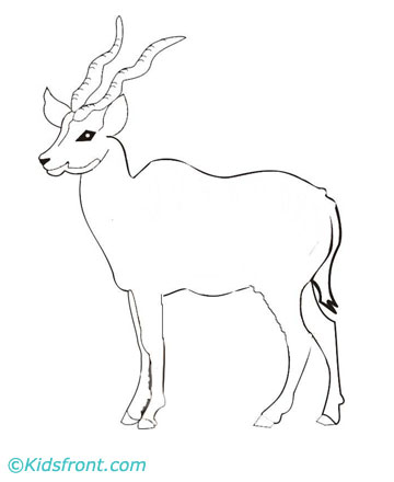 Antelope coloring #16, Download drawings