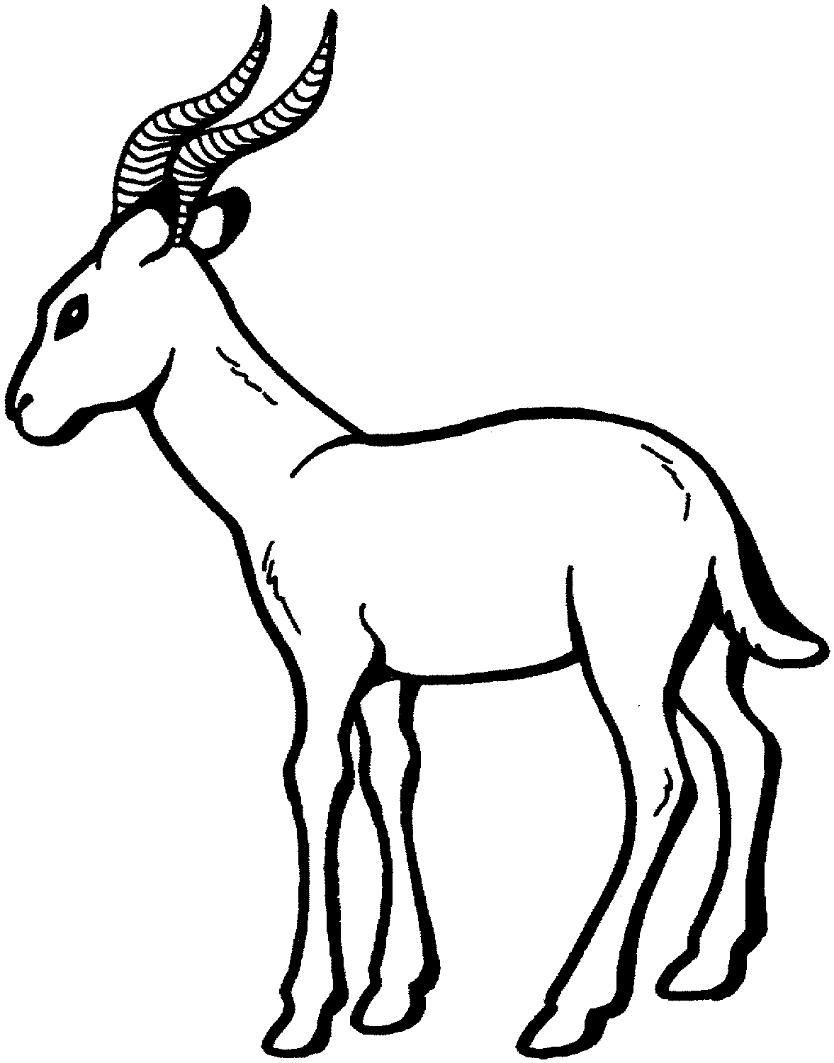 Antelope coloring #14, Download drawings