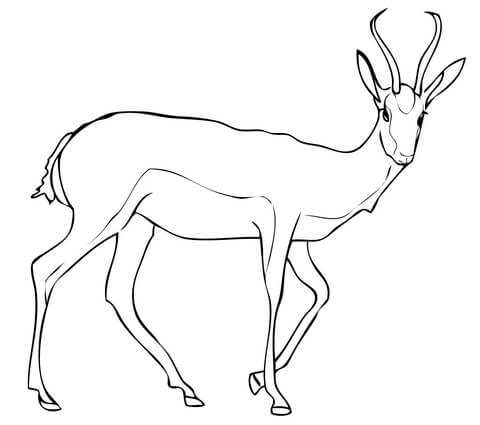 Antelope coloring #12, Download drawings