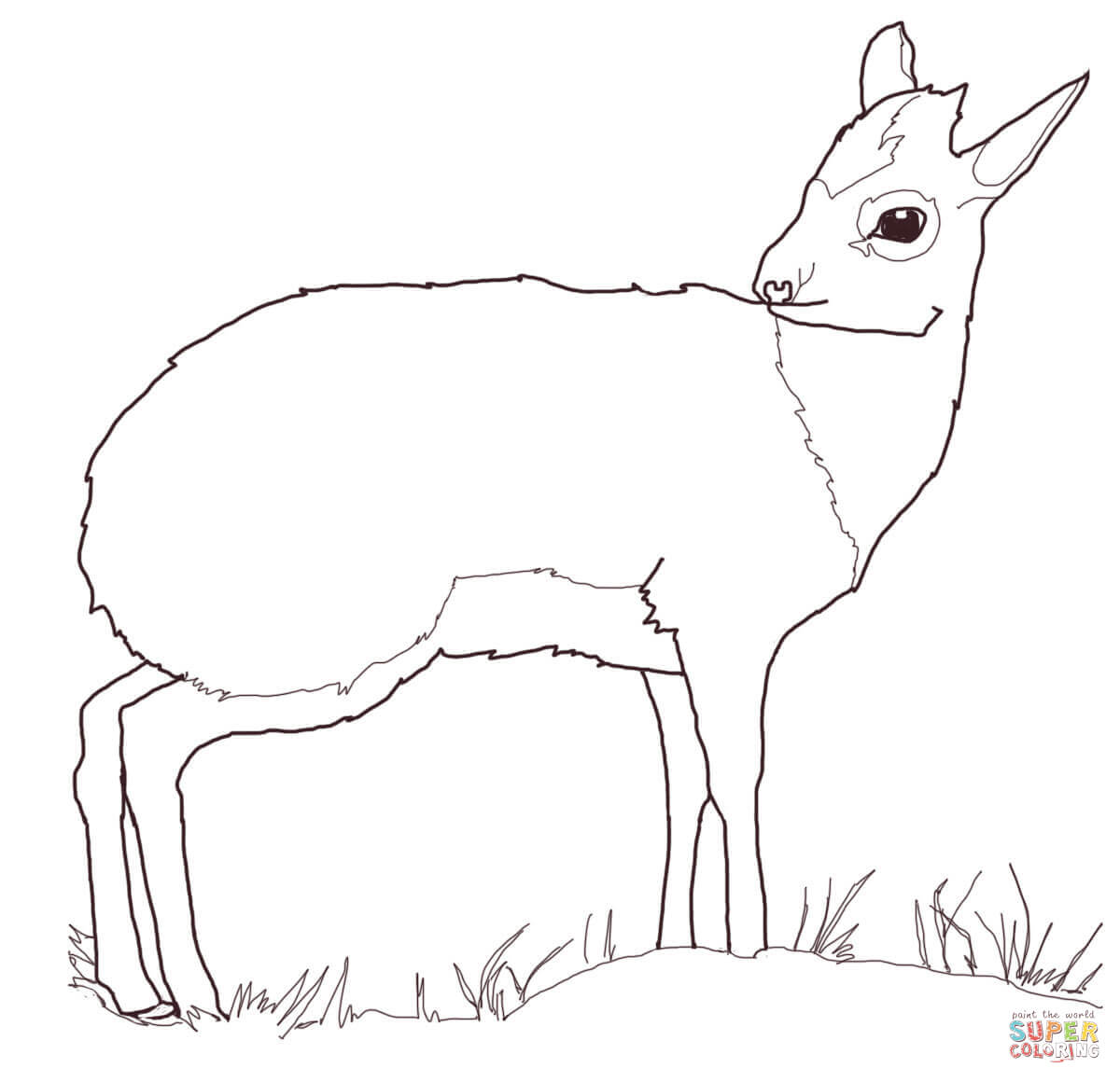 Antelope coloring #11, Download drawings