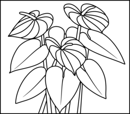 Anthurium coloring #12, Download drawings