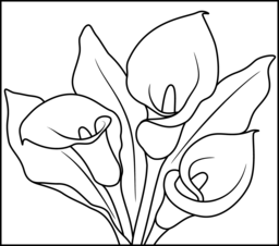 Anthurium coloring #14, Download drawings