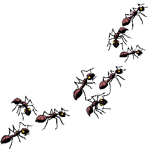 Ants clipart #11, Download drawings