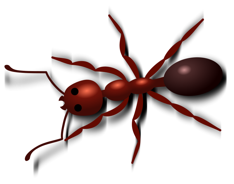 Ants clipart #18, Download drawings