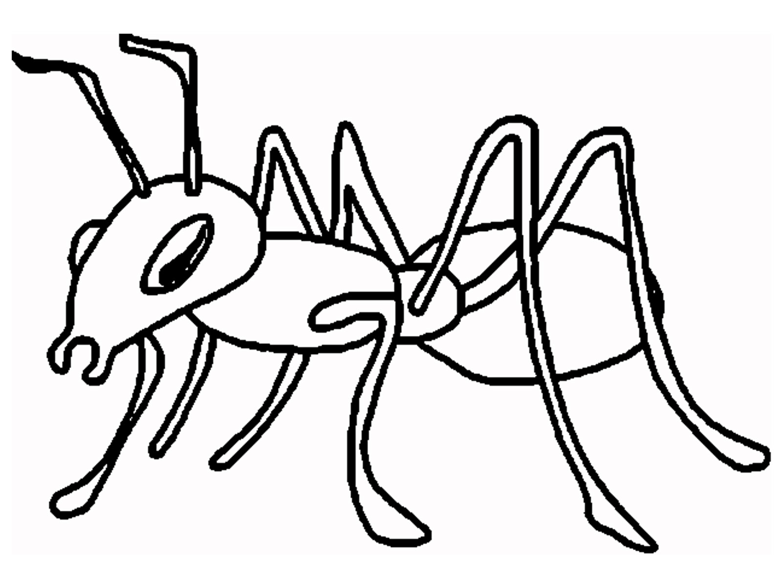 Ants coloring #6, Download drawings