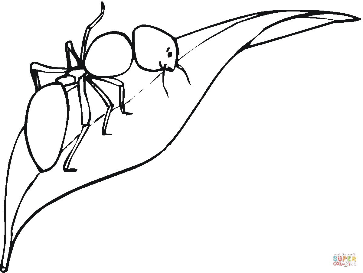 Ants coloring #5, Download drawings