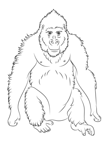 Ape coloring #1, Download drawings