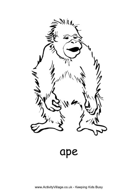Ape coloring #12, Download drawings