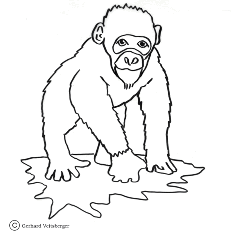 Ape coloring #4, Download drawings