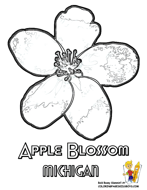Apple Blossom coloring #5, Download drawings