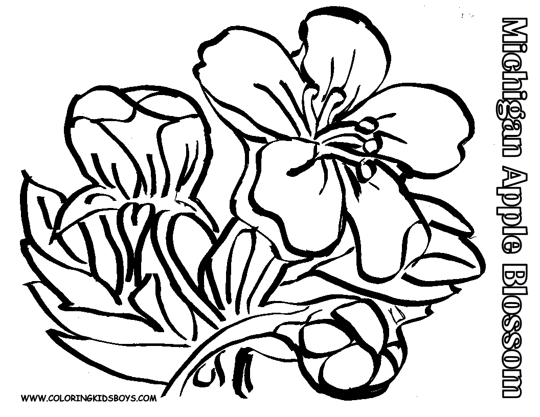 Apple Blossom coloring #6, Download drawings