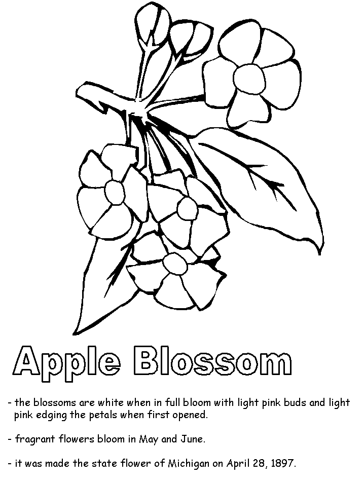 Apple Blossom coloring #2, Download drawings