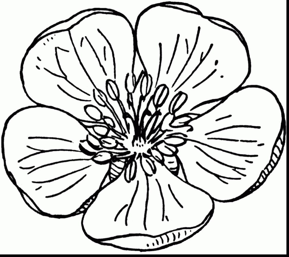 Apple Blossom coloring #12, Download drawings