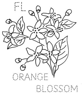 Apricot Blossom coloring #11, Download drawings
