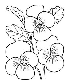 Apricot Blossom coloring #16, Download drawings