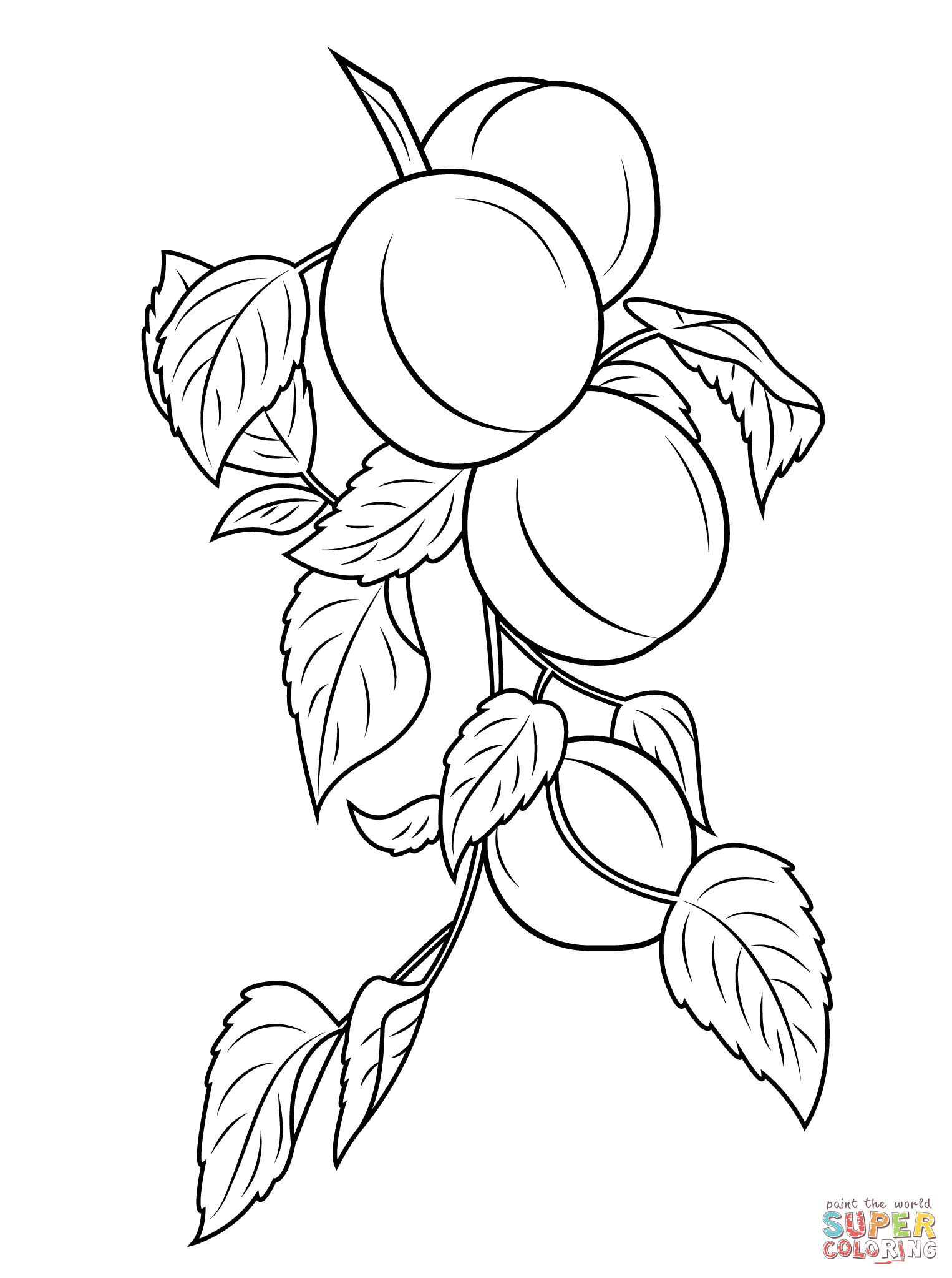Apricot Blossom coloring #8, Download drawings