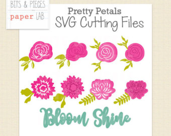Apricot Blossom svg #4, Download drawings