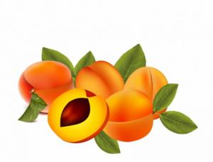 Apricot clipart #9, Download drawings