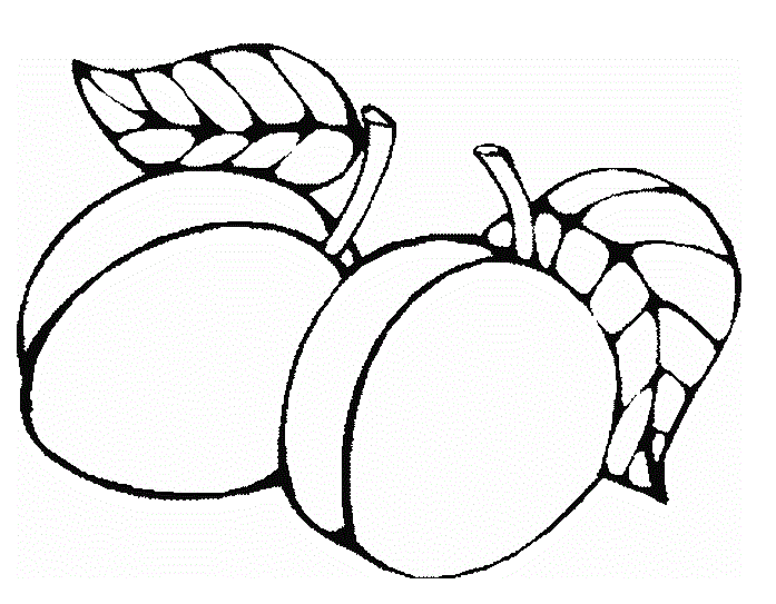 Apricot coloring #7, Download drawings