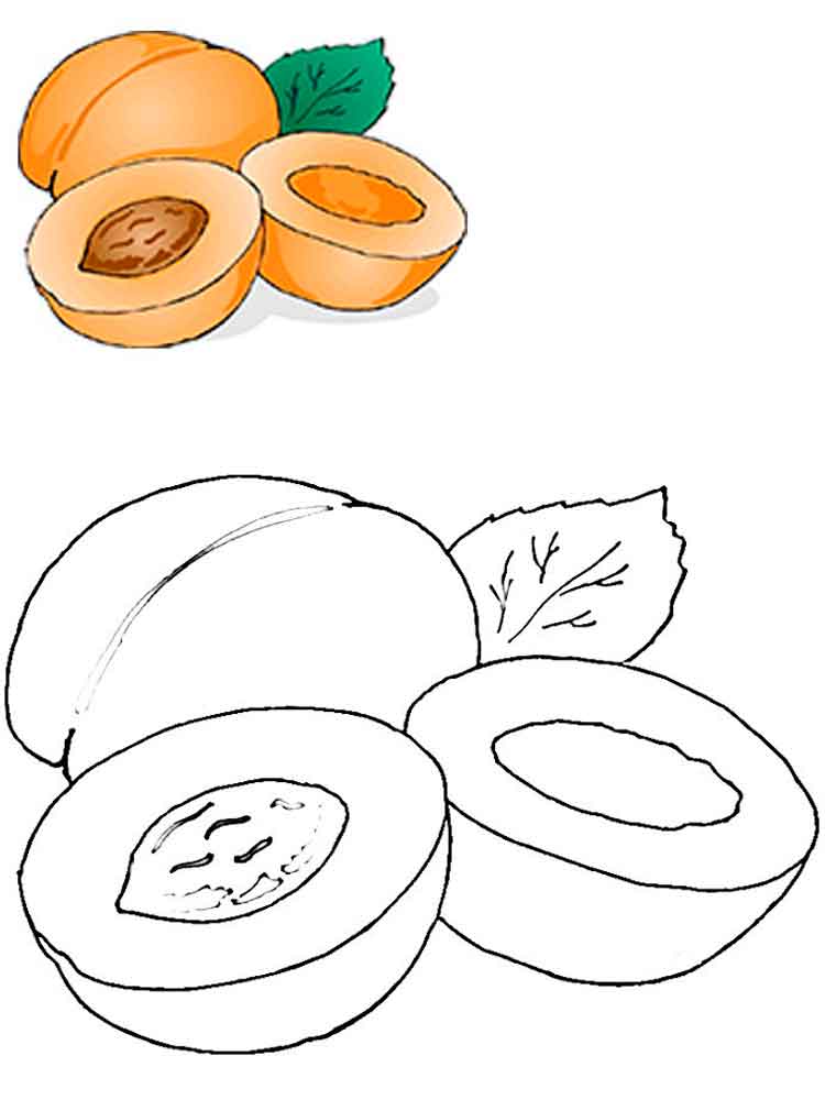 Apricot coloring #19, Download drawings