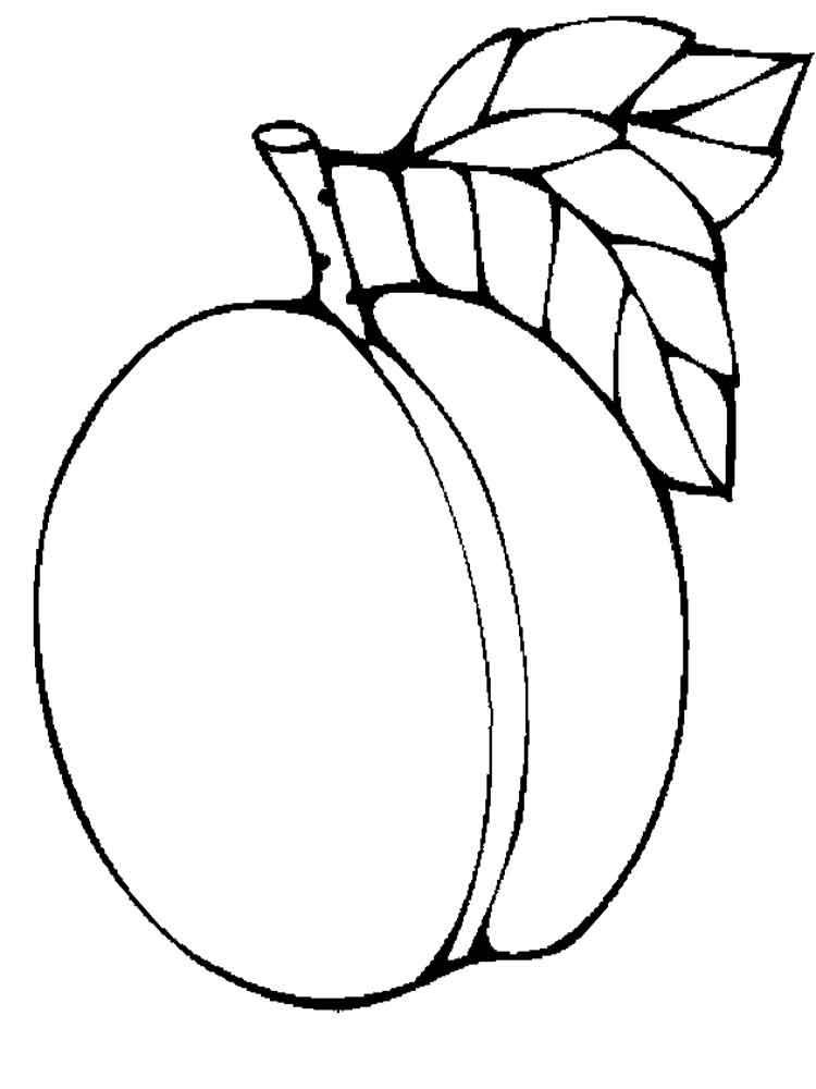 Apricot coloring #5, Download drawings