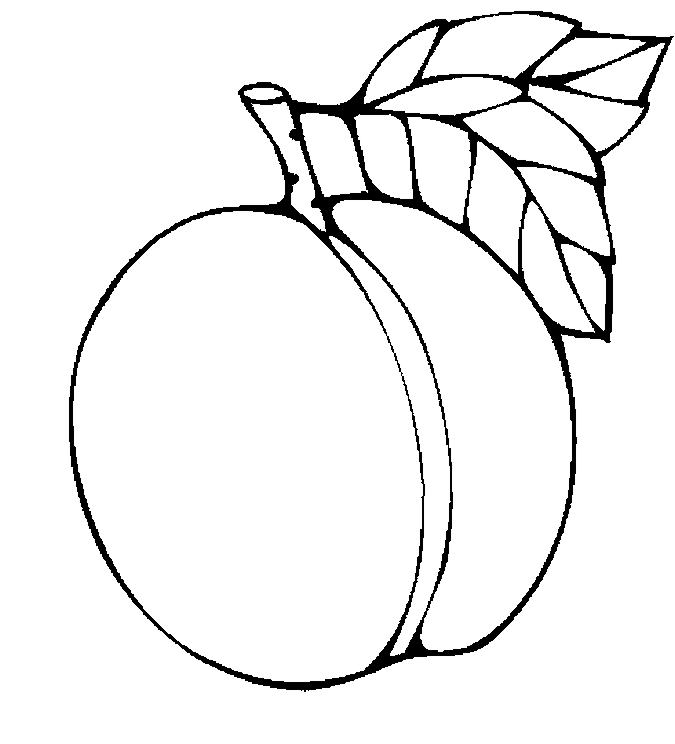 Apricot coloring #10, Download drawings