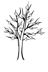 Apricot Tree clipart #8, Download drawings