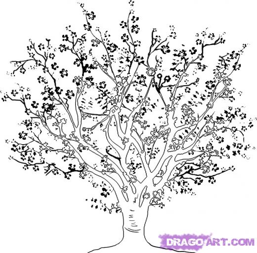 Apricot Tree coloring #18, Download drawings