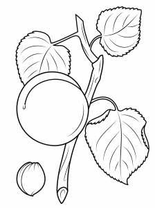 Apricot Tree coloring #17, Download drawings