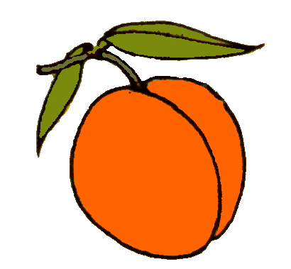 Apricot Tree svg #9, Download drawings