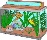 Aquarium clipart #15, Download drawings