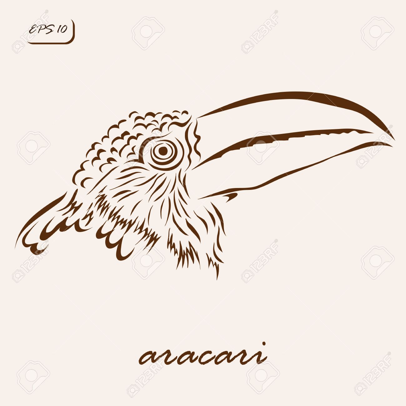 Aracari coloring #10, Download drawings
