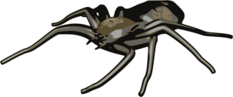 Arachnid clipart #3, Download drawings