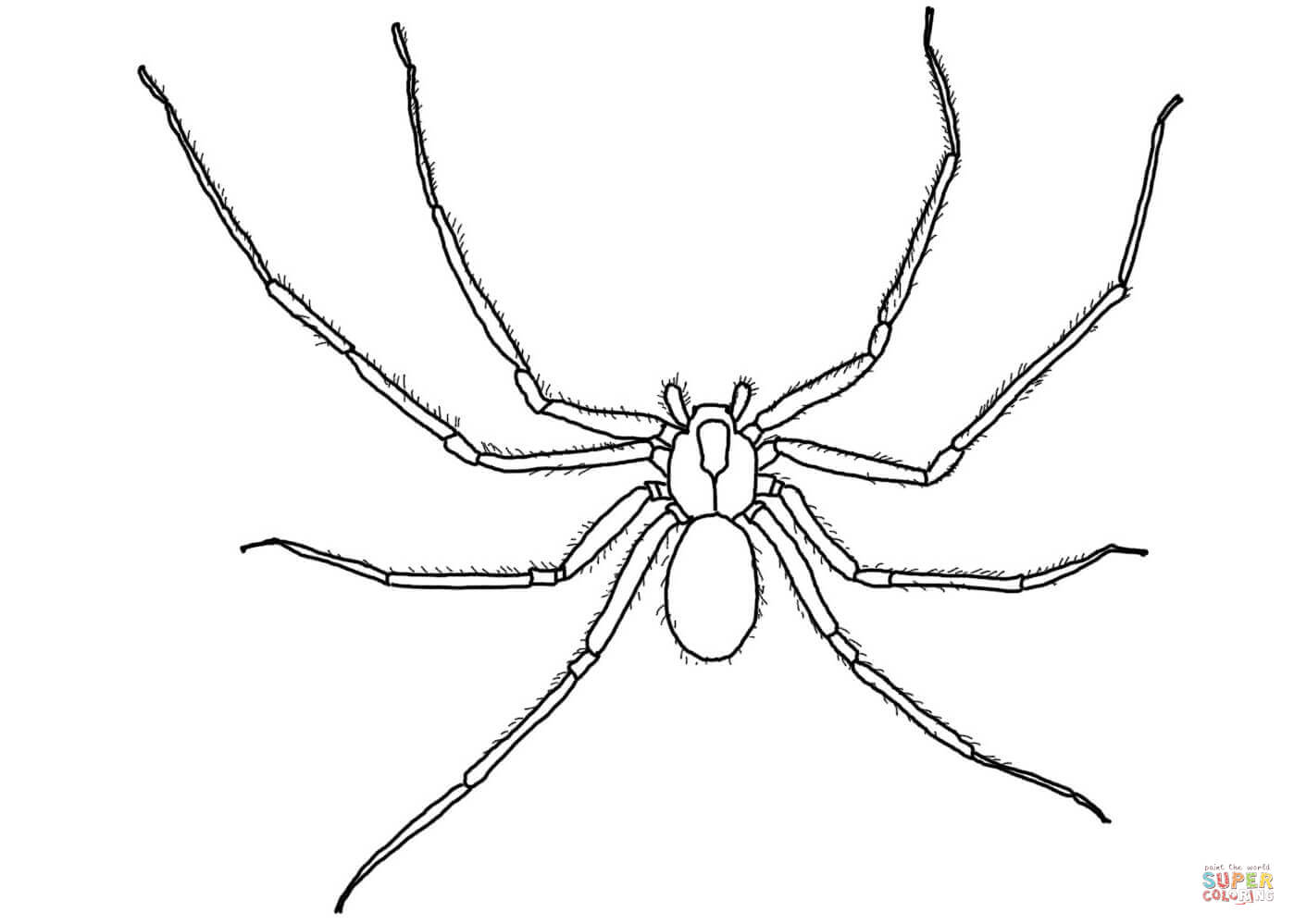 Arachnid coloring #13, Download drawings