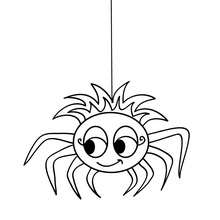 Arachnid coloring #9, Download drawings