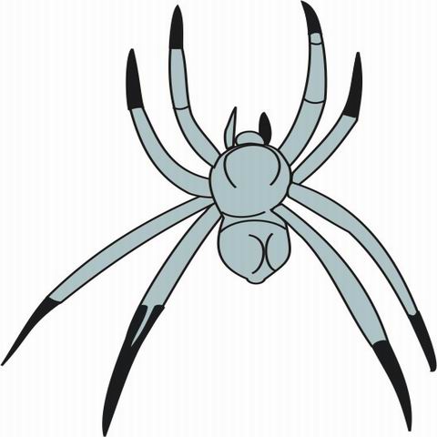 Arachnid coloring #12, Download drawings