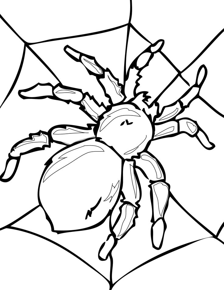 Arachnid coloring #15, Download drawings