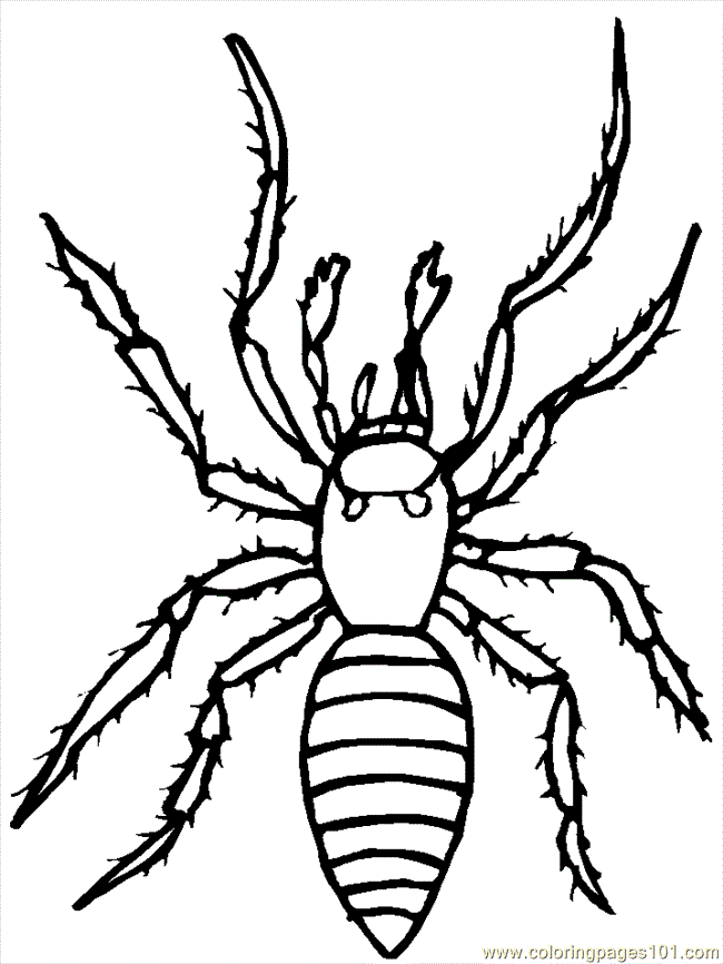 Arachnid coloring #3, Download drawings